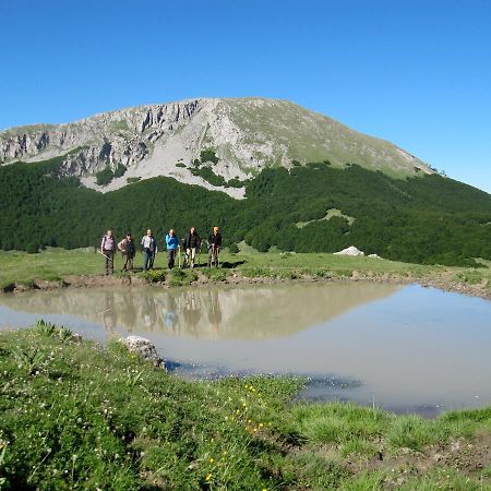 B&B Sole Del Pollino Rotonda Luaran gambar